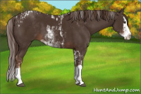 Horse Color:Liver Chestnut Sabino Splash Tobiano  and Liver Chestnut Sabino Splash 