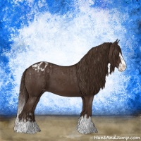 Horse Color:Liver Chestnut Sabino Splash Blanket and Liver Chestnut Sabino Splash Blanket