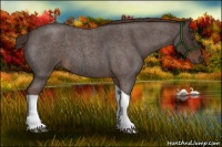 Horse Color:Liver Red Roan Tobiano 