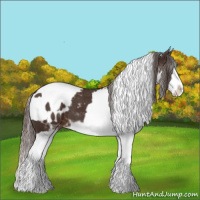 Horse Color:Liver Chestnut Sabino Splash Appaloosa  and Liver Chestnut Sabino Splash Appaloosa 