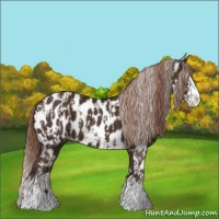 Horse Color:Liver Chestnut Sabino Splash Near Leopard  and Liver Chestnut Sabino Splash Near Leopard 