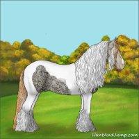 Horse Color:Buckskin Ice Pearl Dun Tobiano 