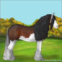 Horse Color:Brown Splash 