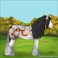 Horse Color:Bay Ice Splash 