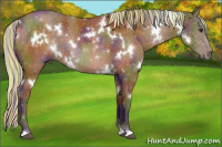 Horse Color:Painted Nacre White Spotted Silver Buckskin 