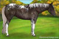 Horse Color:Silver Brown Ice Sabino Tobiano 