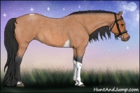 Horse Color:Bay Roan Tobiano 