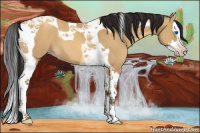 Horse Color:Gray Amber Champagne Dun Splash Tobiano 