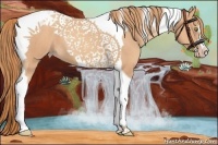 Horse Color:Gold Champagne Tobiano 