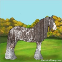Horse Color:Liver Chestnut Sabino Splash Appaloosa  and Liver Chestnut Sabino Splash Appaloosa 