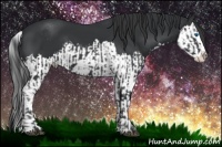 Horse Color:Black Sabino Splash  and Black Sabino Splash 