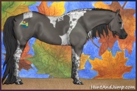 Horse Color:Grullo Tobiano 