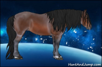 Horse Color:Gray Bay 