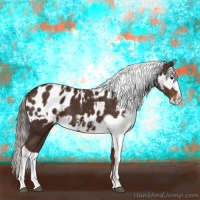 Horse Color:Liver Chestnut Sabino Splash Blanket and Liver Chestnut Sabino Splash Blanket