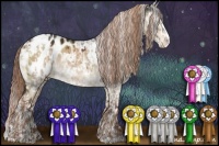 Horse Color:White Spotted Liver Red Dun Sabino Splash Appaloosa Brindle  and White Spotted Liver Red Dun Sabino Splash Appaloosa Brindle 