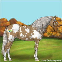 Horse Color:White Spotted Silver Smoky Black 