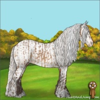 Horse Color:Silver Buckskin Roan Sabino Rabicano  and Silver Bay Sabino Varnish Rabicano 