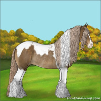 Horse Color:Chocolate Palomino Sabino Tobiano Appaloosa Rabicano 