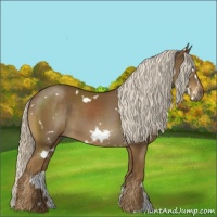 Horse Color:White Spotted Chocolate Palomino