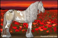Horse Color:White Spotted Liver Red Dun 