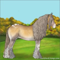 Horse Color:Palomino Onyx Snowflake Varnish 