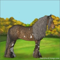 Horse Color:White Spotted Chocolate Palomino Rabicano