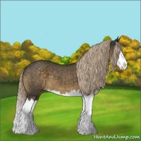 Horse Color:Chocolate Palomino Roan Splash 