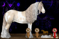 Horse Color:Cremello Splash Tobiano Appaloosa and Chocolate Palomino Pearl Dun Splash Tobiano Rabicano
