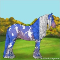 Horse Color:Watercolor White Spotted Liver Chestnut 