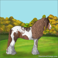Horse Color:Liver Chestnut Sabino Appaloosa  and Liver Chestnut Tobiano 