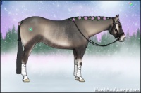 Horse Color:Blue Onyx Rabicano 