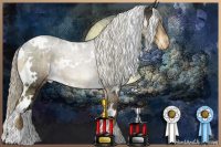 Horse Color:White Spotted Chocolate Palomino Appaloosa