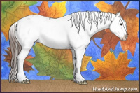 Horse Color:Liver Chestnut Sabino Splash Appaloosa  and Liver Chestnut Splash Appaloosa 