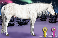 Horse Color:White Spotted Brown Dun Sabino Splash  and Bay Sabino Splash Near Leopard 