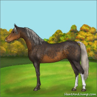Horse Color:Silver Smoky Black 