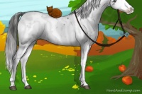 Horse Color:Black Sabino Splash Appaloosa and Black Sabino Splash Appaloosa