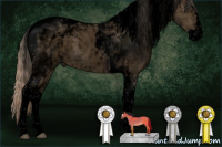 Horse Color:Void Chocolate Palomino Splash Tobiano
