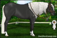 Horse Color:Liver Chestnut Mushroom 