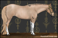 Horse Color:Liver Red Roan Pearl Tobiano Frame