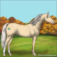 Horse Color:Silver Classic Cream Champagne Dun 
