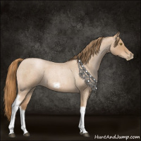 Horse Color:Red Roan Pearl Tobiano Frame 