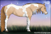 Horse Color:Red Roan Pearl Tobiano Frame 