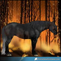 Horse Color:Void White Spotted Brown Roan Rabicano