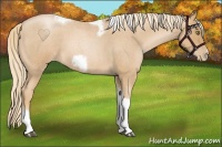 Horse Color:Red Roan Pearl Tobiano Frame