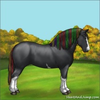 Horse Color:Painted White Spotted Black 
