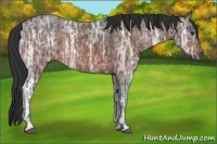 Horse Color:Brown Ice 