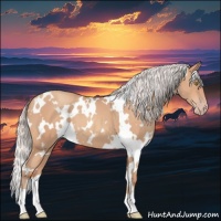 Horse Color:White Spotted Silver Sable Champagne 
