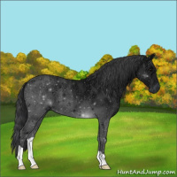 Horse Color:Black Ice 