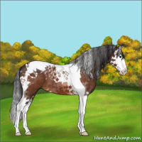 Horse Color:Brown Splash Tobiano 