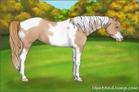 Horse Color:Red Roan Pearl Tobiano Frame